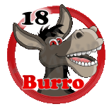 Animal Numero 