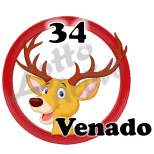 Animal Numero 34