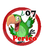 Resultado 7