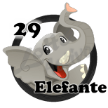 Animal Numero 29