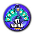 Animal Numero 47