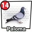 Animal Numero 14