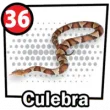 Animal Numero 36