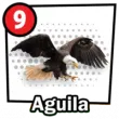 Animal Numero 9