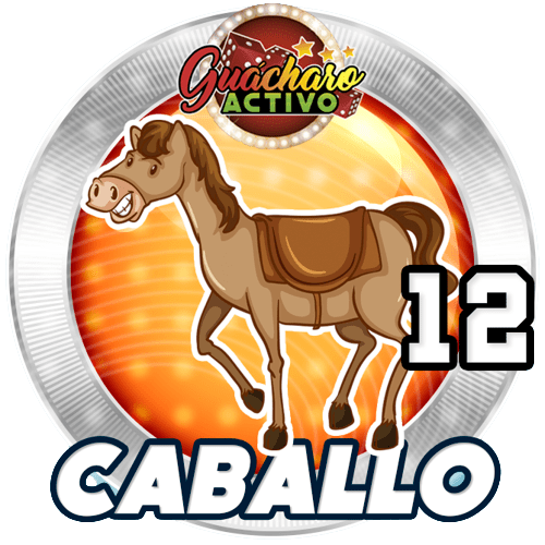 Animal Numero 12