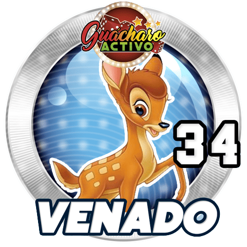 Animal Numero 34