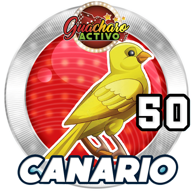 Animal Numero 50