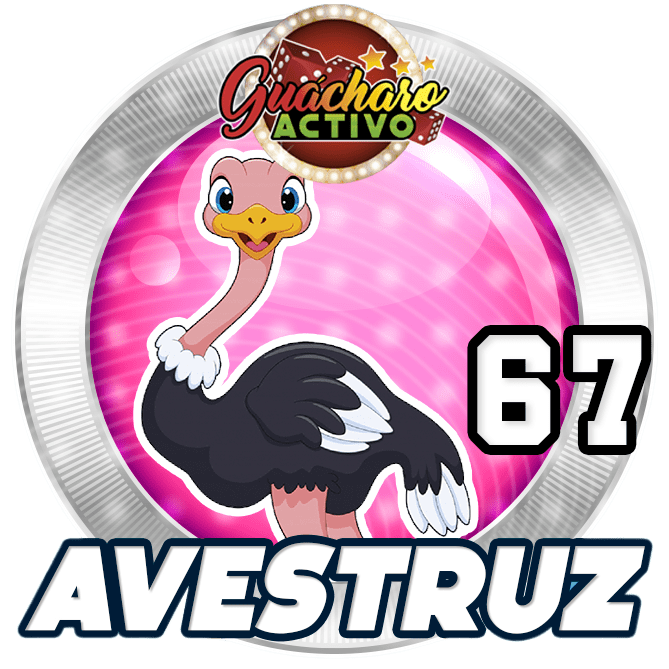 Animal Numero 67