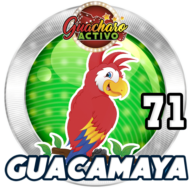 Animal Numero 71