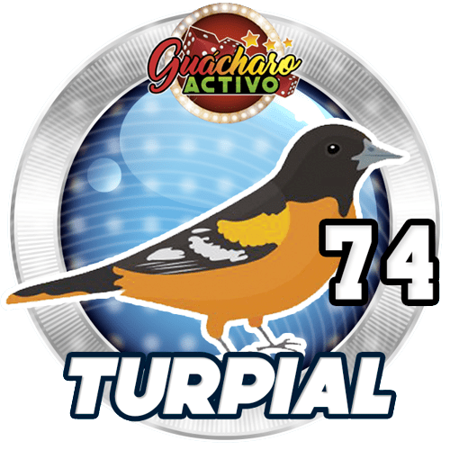 El Resultado De Las 5 PM Guacharo Activo Es 74 Animal Numero 74