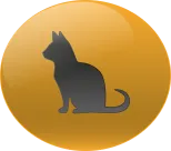 Animal Numero 11
