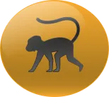 Animal Numero 13
