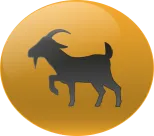 Animal Numero 19