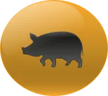 Animal Numero 20