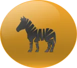 Animal Numero 23