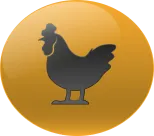 Animal Numero 25