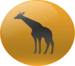 Animal Numero 35