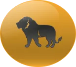 Animal Numero 5