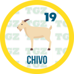 Animal Numero 19