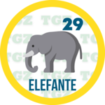 Animal Numero 29