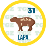 Animal Numero 31